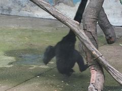 -宁波野生动物园
