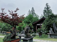 -杭州植物园