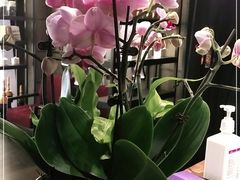 -LANN I 蘭 泰式古法按摩(徐家汇城开YOYO店)