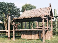 -上海野生动物园