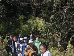 -苍山感通索道
