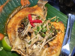 傣族香茅草烤罗非鱼-雀舞·私食(凯德店)