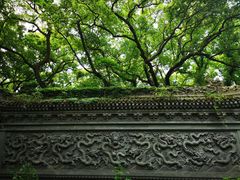 -普陀山风景名胜区-法雨禅寺
