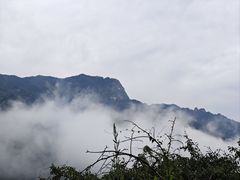 -秦岭风景区