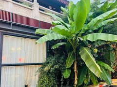 -唐猫庭院·千年陕菜(大唐不夜城店)