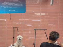 -FAELING PETS美天灵宠物(合生汇店)