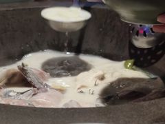-鲜潭蒸汽石锅鱼(五道口购物中心店)