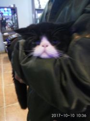 -Ly形象设计