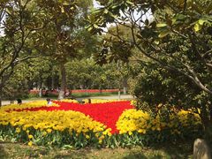 -上海鲜花港