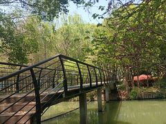 -尚贤河湿地