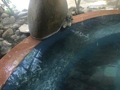 -金穗园温泉酒店