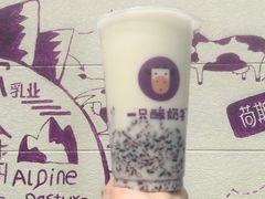 绿豆酸奶紫米露-一只酸奶牛(锦城万达天虹店)