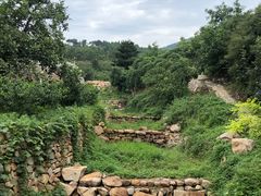 -梨木台悦来客农家院