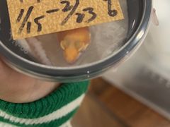 -酷以爬仙阁实体爬宠店·守宫·蜥蜴·专业繁育