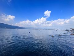 -滇池海埂公园