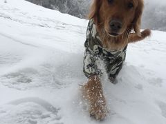 -太子岭滑雪场