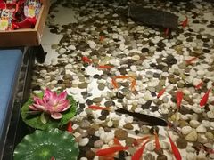 -香浙汇(望京店)