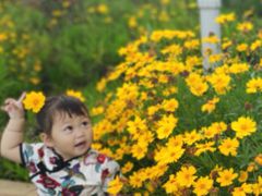 -琴岛之星摩天轮