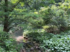 -句容茅山景区