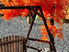 -DGE季风钓虾营地·团建·聚会