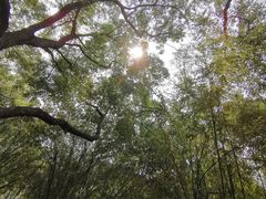 -晓港公园