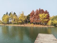 -尚贤河湿地