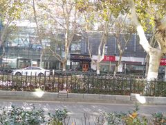 -多克多蒸气茶DOKDO(鼓楼绿地店)