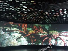 深海探索馆-同济大学四平路校区深海探索馆