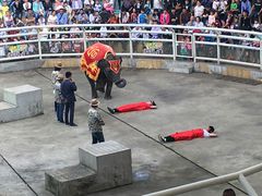 -大连森林动物园