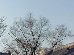 -文瀛公园