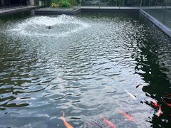-太子园林酒家
