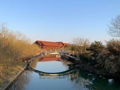 -广富林郊野公园