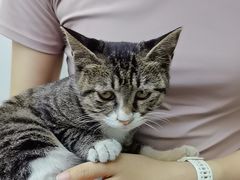 -达爱动物医院·犬猫分区·CT·复杂眼科(远洋山水分院)