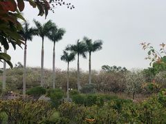 -广州莲花山旅游区