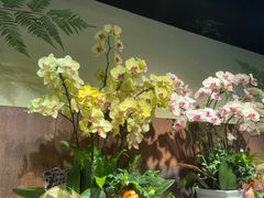 -溪岸路花鸟市场