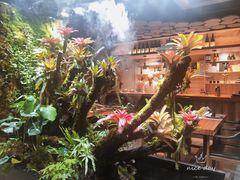 -森味薪火烧•烧鸟居酒屋•日本料理(望京店)