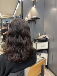 -藤野造型
