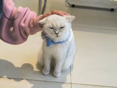 -怪兽屋·羊驼·猫咖·狗咖(俊华广场店)