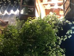 -猫的天空之城概念书店(苏州平江店)