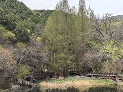 -国家植物园南园