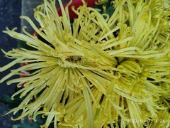 -北京华联合肥长江西路购物中心