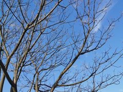 -盘龙城国家考古遗址公园