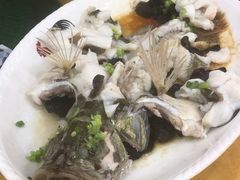 -金百门·顺德海鲜酒家(陈村店)
