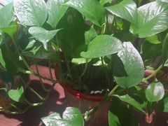 -庆赫隆融合菜馆(群力店)