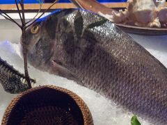 -月下料理(楷林IFC店)