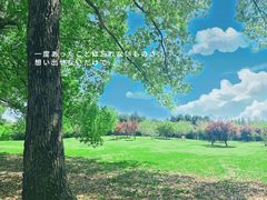 -上海共青森林公园