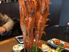-德川家日本料理(中关村寰太大厦店)