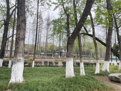 -蜀绣公园