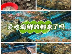 -板桥海鲜广场(文明东店)