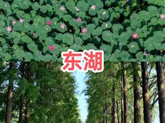 -十里·东湖院子(湖北省博物馆店)